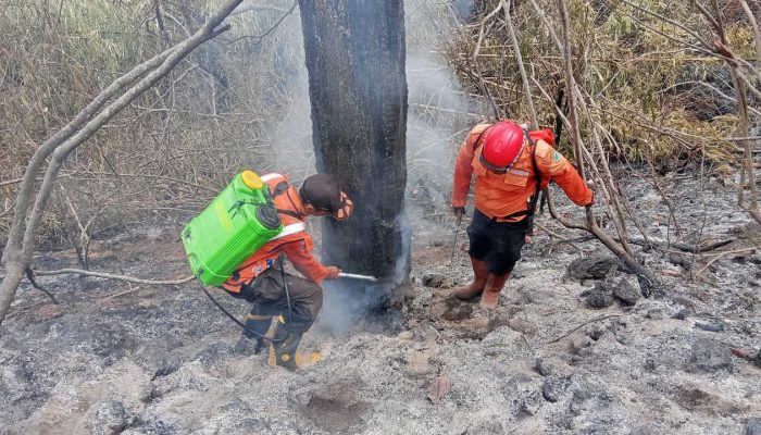 Titik Api Gunung Ciremai Menurun, Kebakaran Belum Padam: BNPB Kerahkan Drone Termal