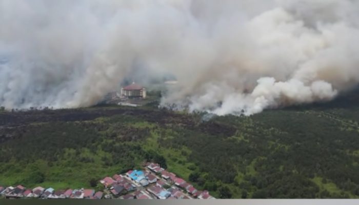 Karhutla Kalimantan Belum Reda, Hotspot Kalteng Naik dan Kaltim Sempat Berbahaya