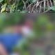 Tragis! Sopir Taksi Online Dirampok dan Dibunuh, Jasad Dibuang ke Kebun Sawit